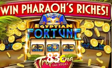 Design Responsivo 83c